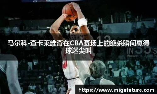 马尔科-查卡莱维奇在CBA赛场上的绝杀瞬间赢得球迷尖叫