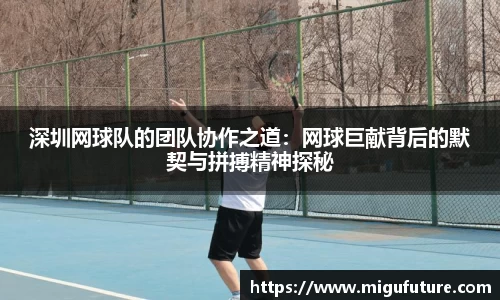 深圳网球队的团队协作之道:网球巨献背后的默契与拼搏精神探秘